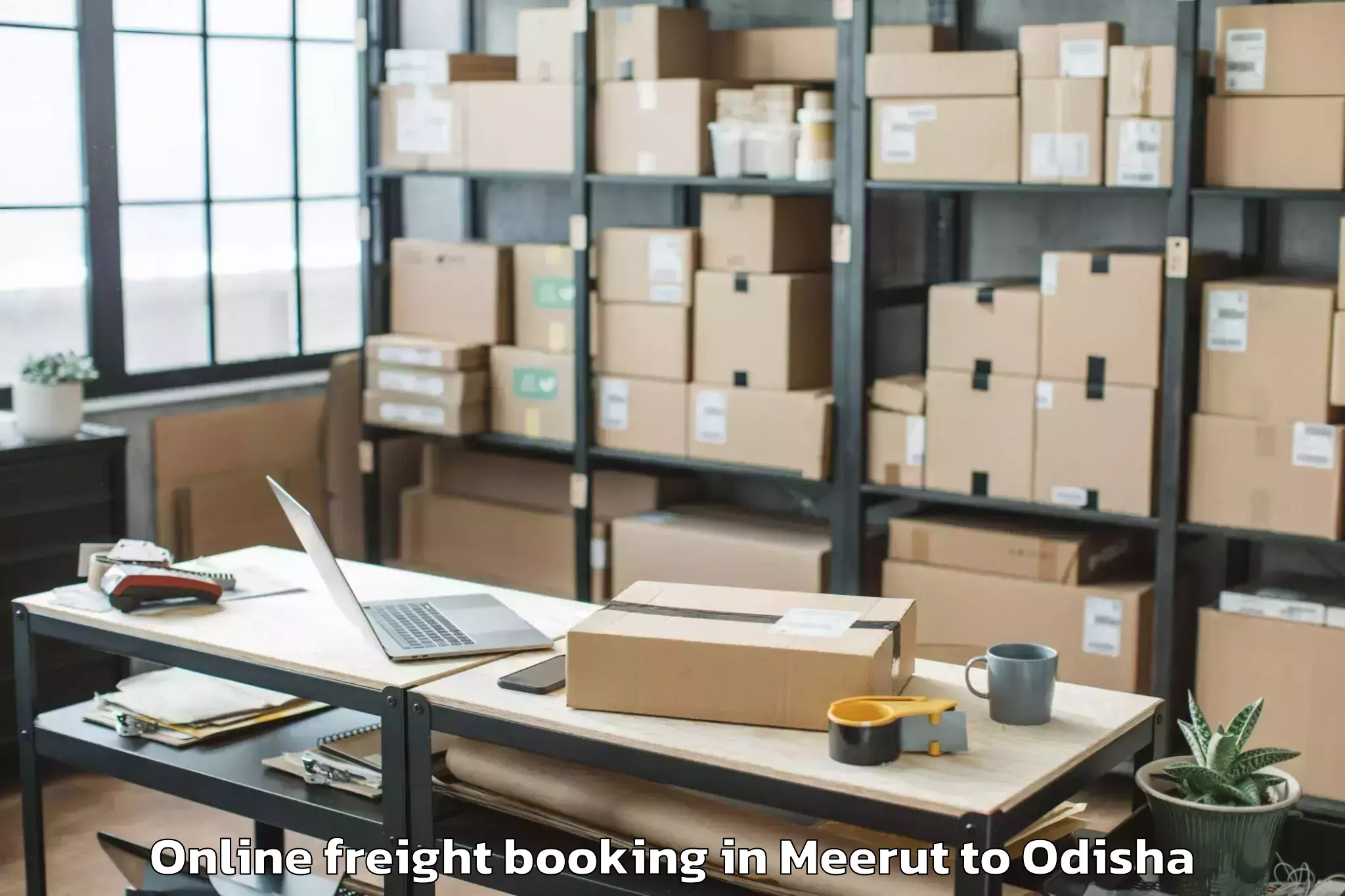 Trusted Meerut to Khallikot Online Freight Booking